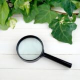 AI Overviewのサイトの影響を調べる方法